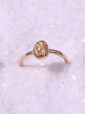 markonagaima,amami,wedding,bridal,ring